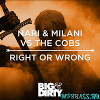 Музыка Nari & Milani vs The Cobs - Right Or Wrong (Original Mix)