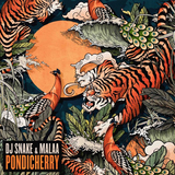 Музыка DJ Snake - Pondicherry (feat. Malaa)