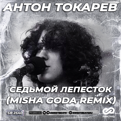 Музыка Антон Токарев - Седьмой Лепесток (Misha Goda Remix)