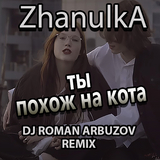 Музыка Zhanulka - Ты Похож На Кота (DJ Roman Arbuzov Remix)