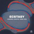Музыка Rompasso - Ecstasy (feat. Rasster & Yasmin Jane)