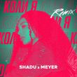 Музыка Shadu & Meyer - Коли Я (Remix)