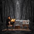 Музыка Baryk - Твоє Серце