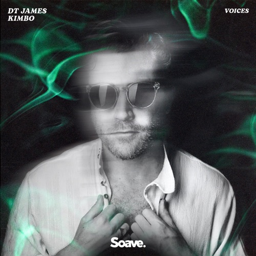 Музыка DT James - Voices (feat. Kimbo)