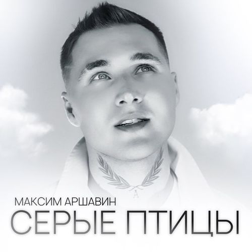 Музыка Максим Аршавин - Серые Птицы