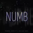 Музыка Tommee Profitt - Numb (feat. Skylar Grey)