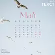 Музыка Tanir - Май (feat. Tyomcha)