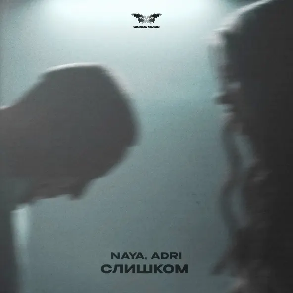 Музыка Naya - Слишком (feat. Adri)