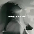 Музыка Imazee - Won't Fade (Original Mix)