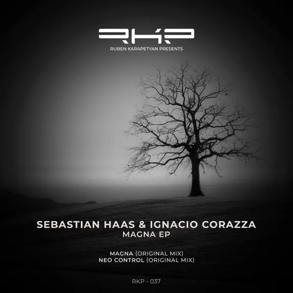 Музыка Sebastian Haas & Ignacio Corazza - Magna 101 (Original Mix)