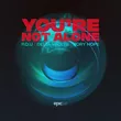 Музыка P.O.U & Delta Vaults feat. Rory Hope - You're Not Alone (Extended Mix)