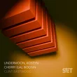 Музыка Undermoon & Kostyn feat. Cherry (UA) & Boosin - Clint Eastwood (Extended Mix)