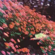 Музыка Eben - Drown