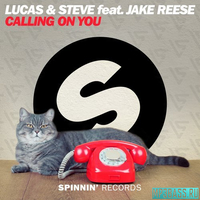Музыка Lucas & Steve feat. Jake Reese - Calling On You (Extended Mix)