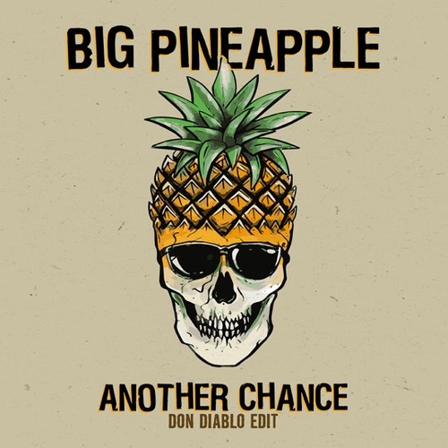 Музыка Big Pineapple - Another Chance (Don Diablo Extended Edit)