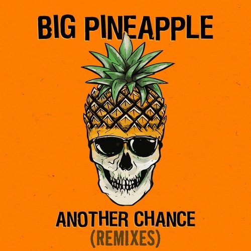 Музыка Big Pineapple - Another Chance (Don Diablo Chill Mix)