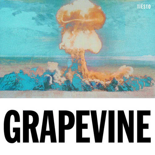 Музыка Tiësto - Grapevine (Tujamo Remix)