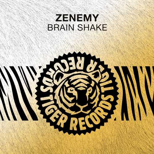 Музыка Zenemy - Brain Shake (Original Mix)